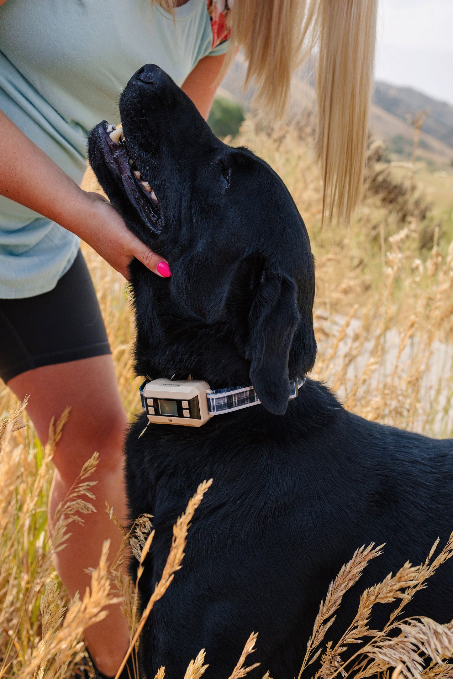 Collier Anti-Fugue avec GPS