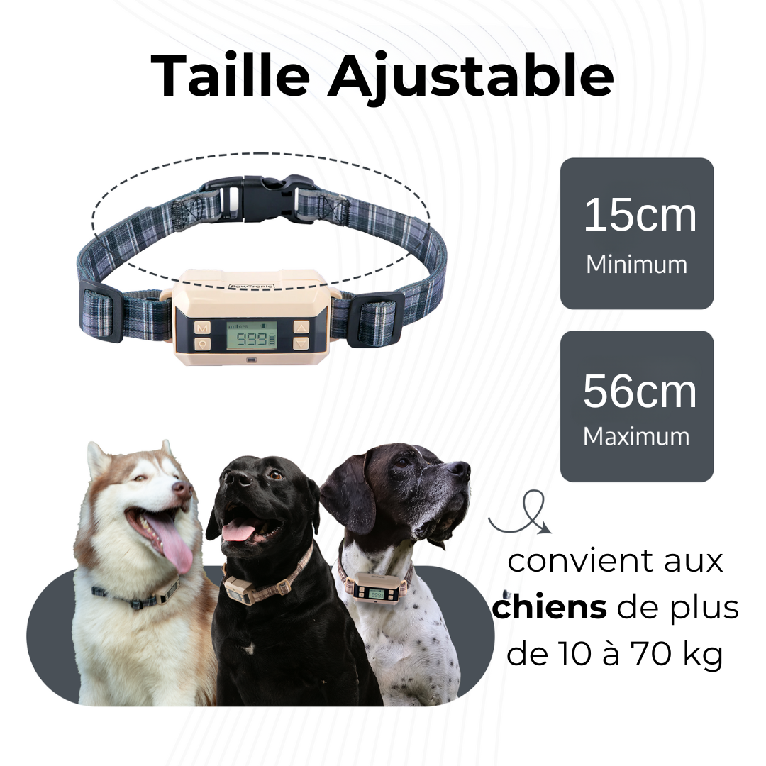Collier Anti-Fugue avec GPS