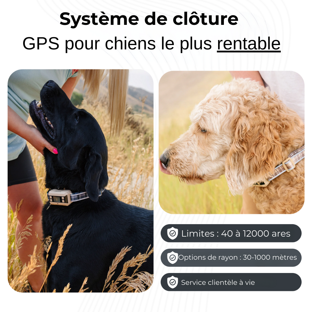 Collier Anti-Fugue avec GPS
