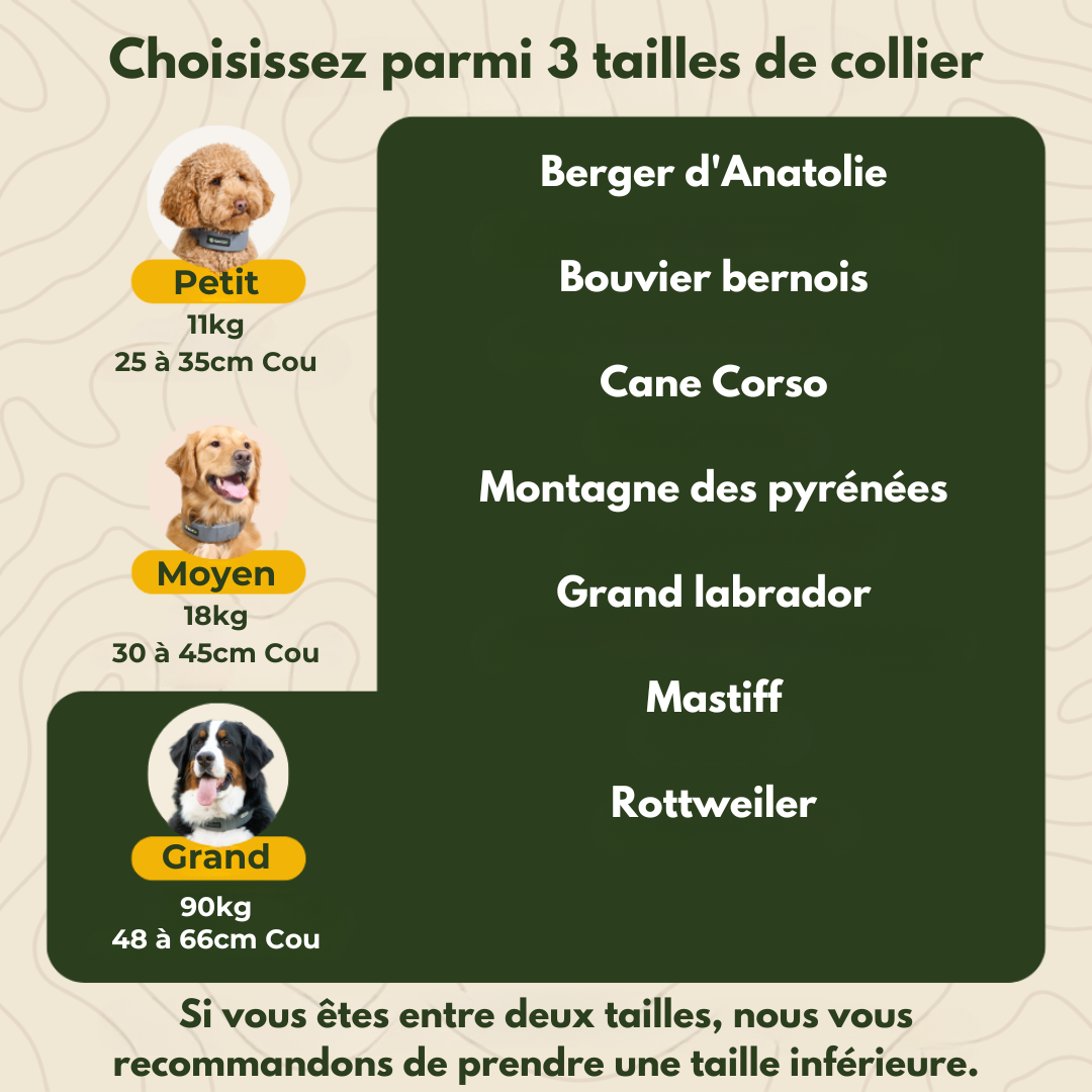 Collier Barrière GPS