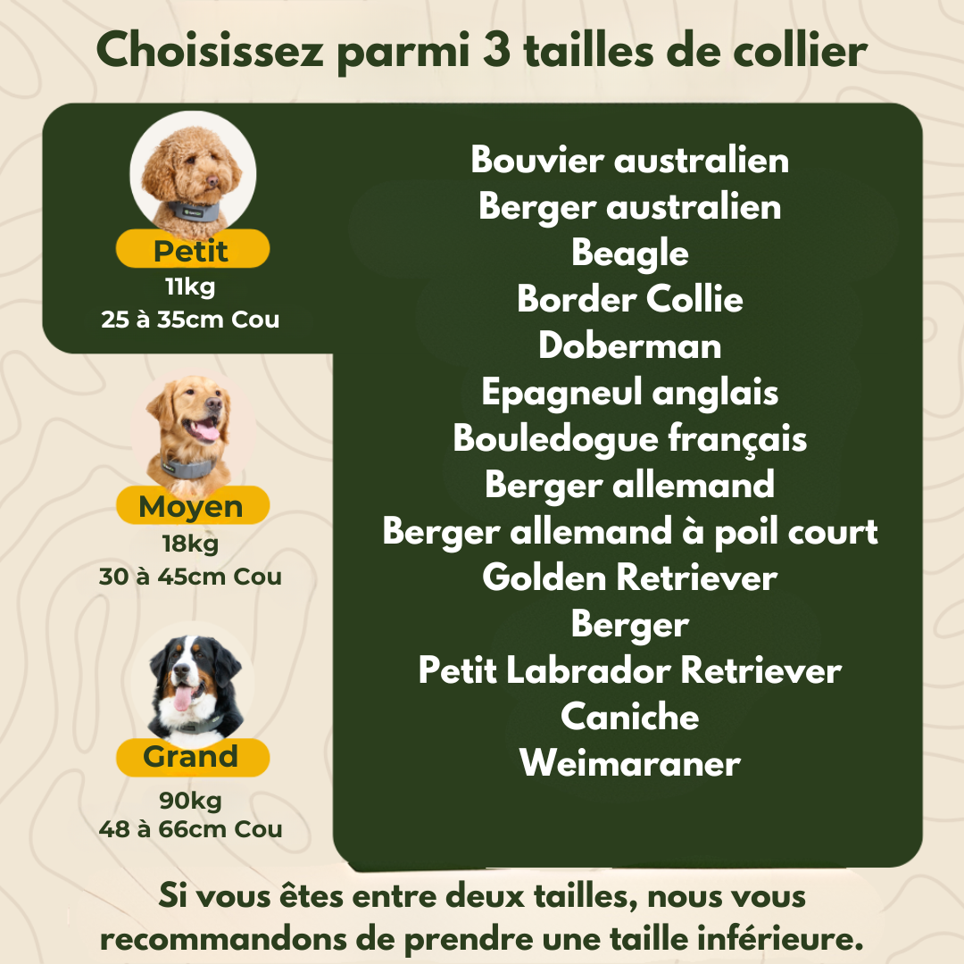 Collier Barrière GPS