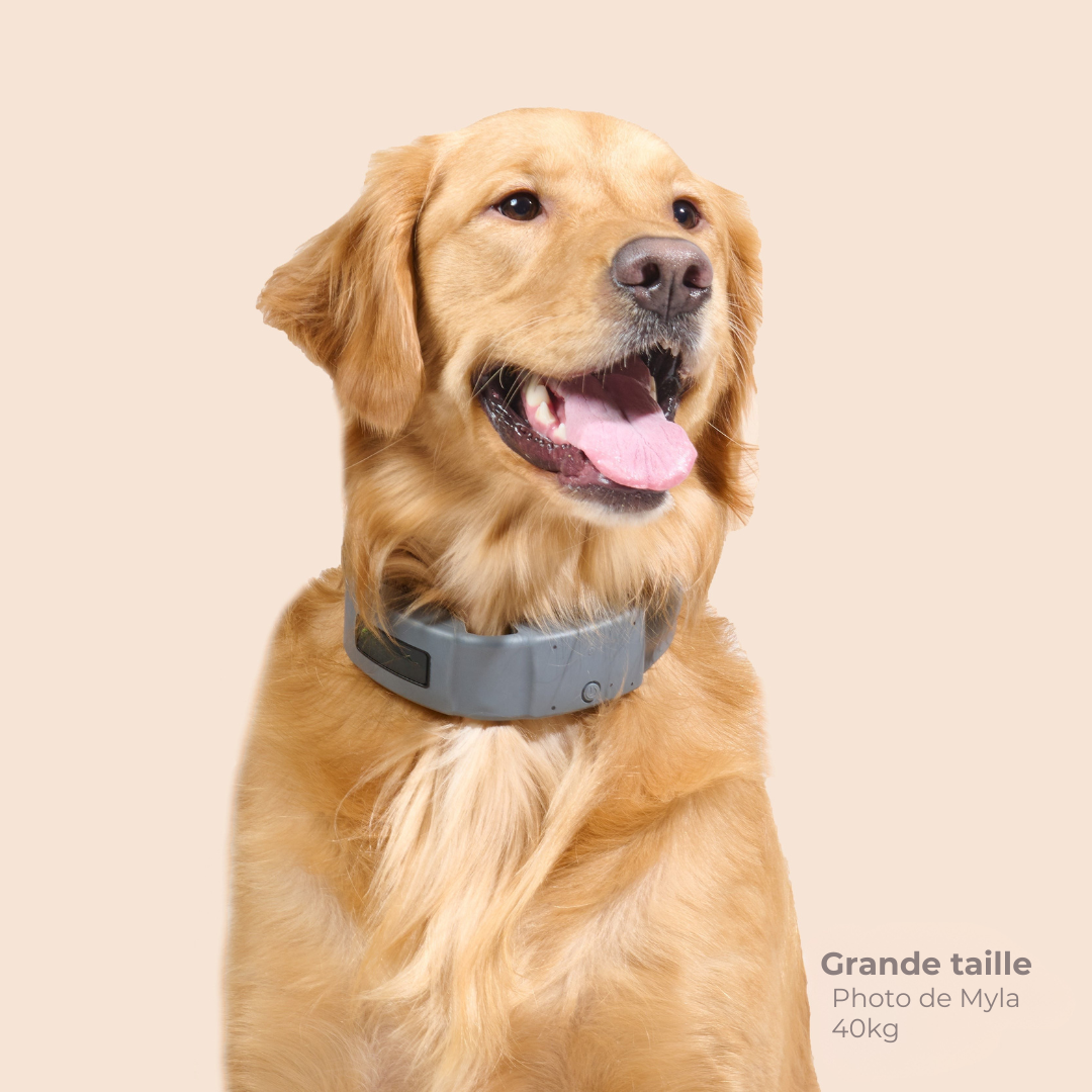 Collier Barrière GPS
