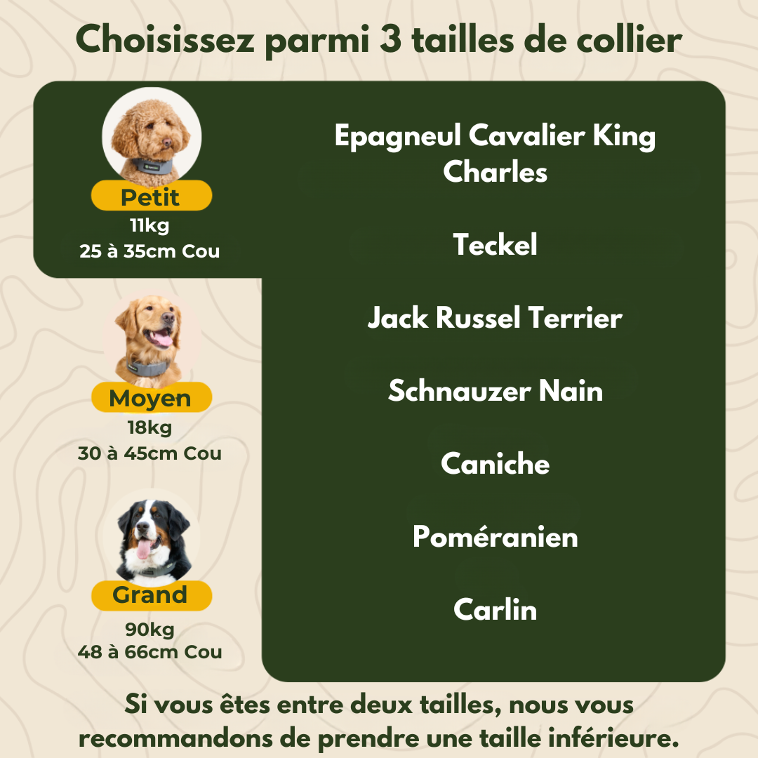 Collier Barrière GPS